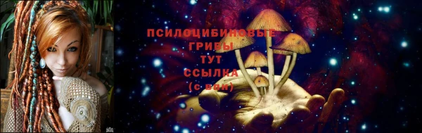 прущая мука Кукмор